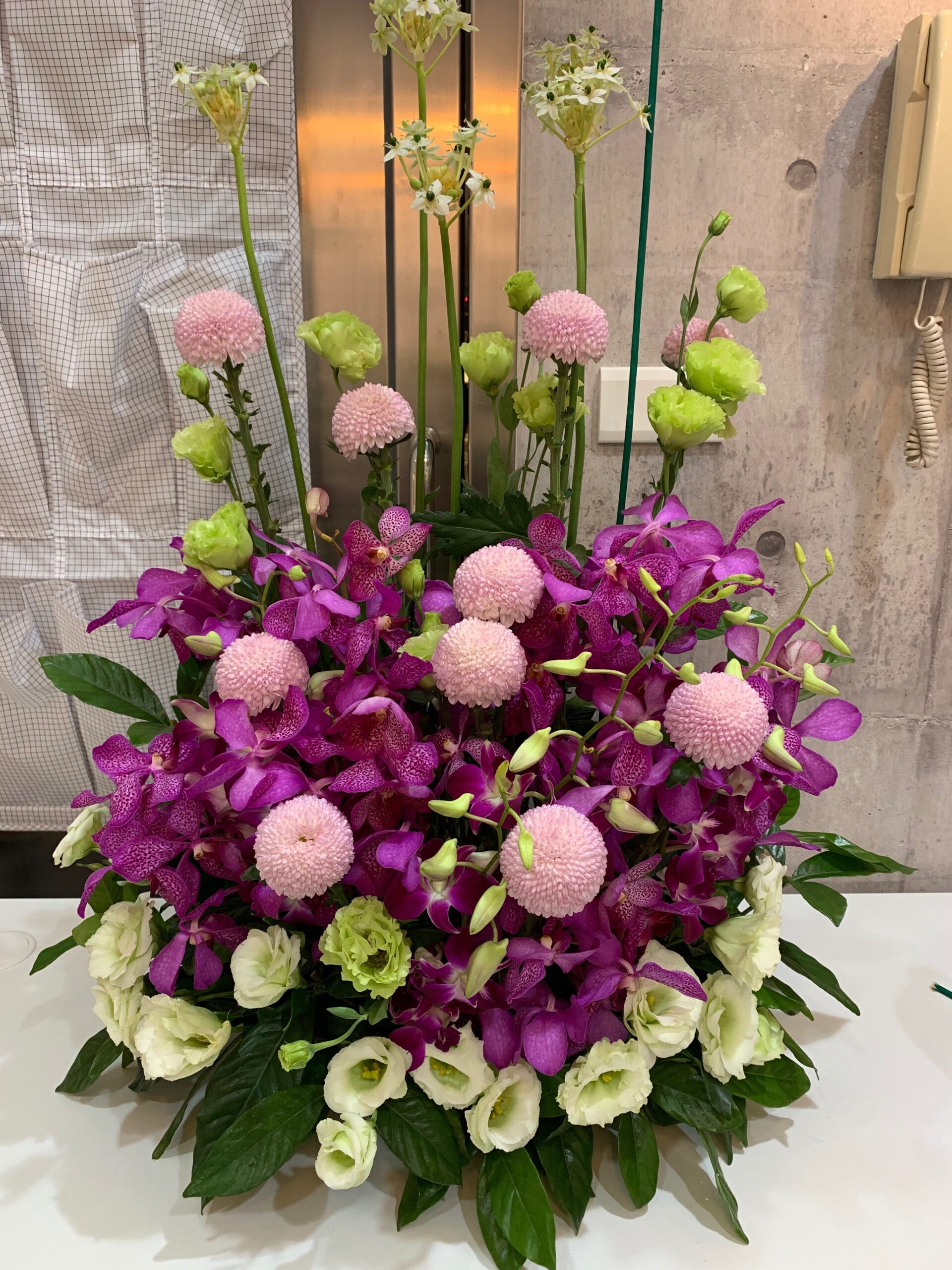 編號:C0027----財運高高盆花